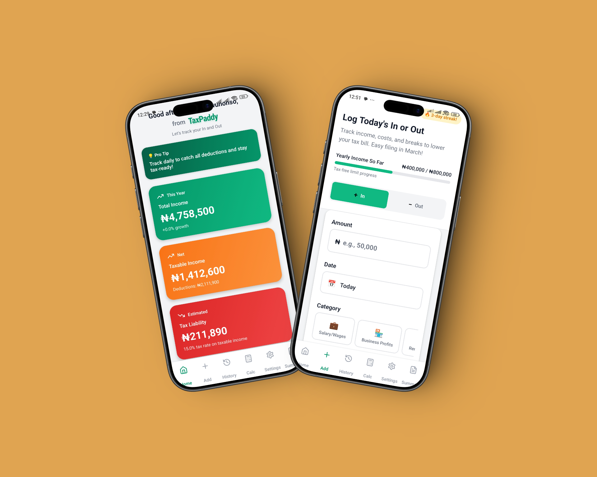 TaxPaddy App Interface